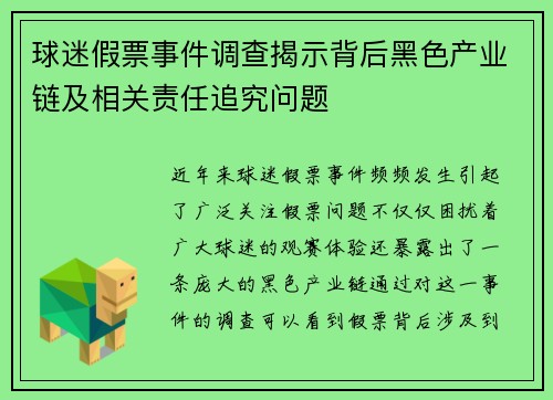 球迷假票事件调查揭示背后黑色产业链及相关责任追究问题 球迷假票事件调查揭示背后黑色产业链及相关责任追究问题